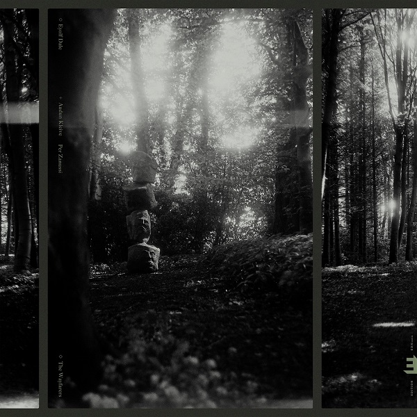 deFactorTaal's tweet image. Prachtig nieuw album van jazzpianist Eyolf Dale en zijn trio, waarop een kruising tussen Europese en Amerikaanse #jazz is te horen. Recensie op #jazzenzo.
jazzenzo.nl/?e=5030 
#EditionRecords #EyolfDale