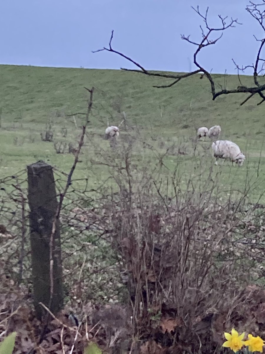 SaveStAlbansftf's tweet photo. What we need is #FoodSecurity & treated the same way as #energysecurity Another farm to be concreted @hertscc while shelves are becoming emptier. Hedges Farm is important to St Albans for locally sourced! #saveourfields
#carboncapture @CPREHerts @Mark_Spencer @StAlbansCouncil https://t.co/7tE3oGSXSz