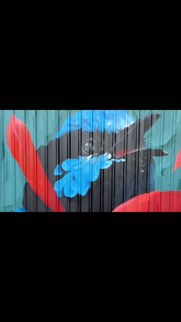 Absolutely stoked with the mural that the legend who is @trait_ has painted on the fence of the studio. The superb fairy wren is amazing, 🙏 Kane for your talent and skills 👊 #trait #superbfairywren #blue #bird #mural #wollongong #aisle6ix #coniston instagr.am/reel/CqKjiCMDj…