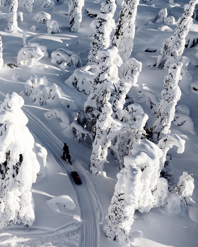 We love the longer winter days. 
#WinterWonderland #travel #nature

swedishlapland | ig
