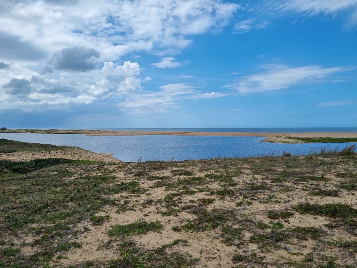📢Earlier in March REST-COAST held its first Summer Workshop in Maldonado, Uruguay!🇺🇾
🫧Resulting in with a significant success, the event addressed a wide range of issues related to #coastal management and #restoration.
🧐More insights you can fined here: bit.ly/3JGGC78