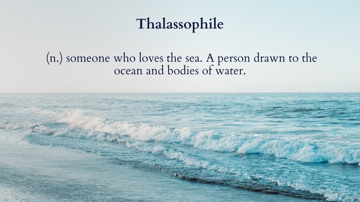 LewisPughFDN's tweet photo. Attention all Thalassophiles! You protect what you love 🌊💙✨ https://t.co/6Rvs6mmab6