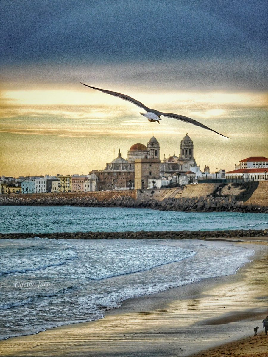 chemapico1's tweet photo. Cádiz. https://t.co/zP3jyBTXN0