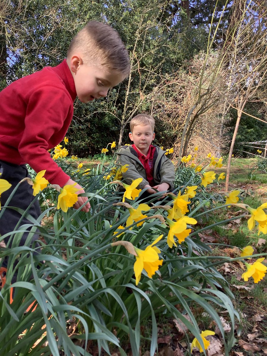 Barfordstpeters's tweet photo. Reception had fun looking in forest school investigating different shapes.
#bspeyfs https://t.co/4YpI69Lv5B