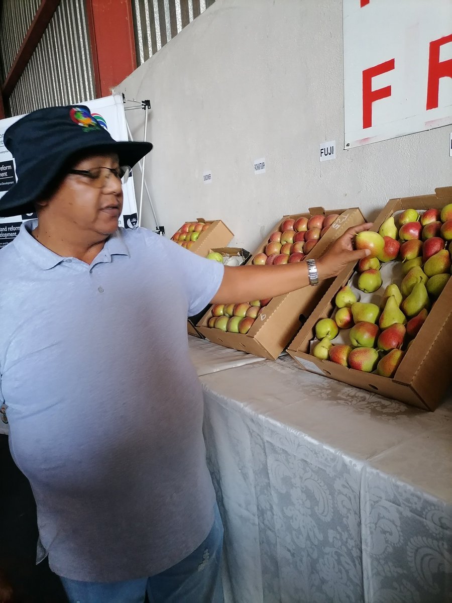 ChevonBooysen's tweet photo. Langfontein Farm lessee, Ricardo du Preez shows his decidious farming produce, Ricas Fruits, which also gets internationally exported @CapeTimesSA @IOL https://t.co/hvF3uOIPjd