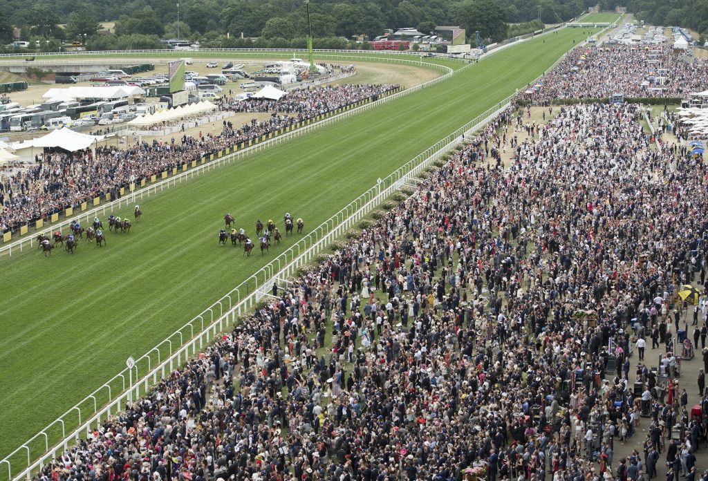 bettinganalystt's tweet photo. UK FLAT RACECOURSES – PROFESSIONAL PUNTER GUIDE

The Flat season is starting - If you want to bet like a pro, learn your courses!

https://t.co/UDxGP8WYqh

#racingservice #racingtips #progambler https://t.co/3MYVyQs3l8