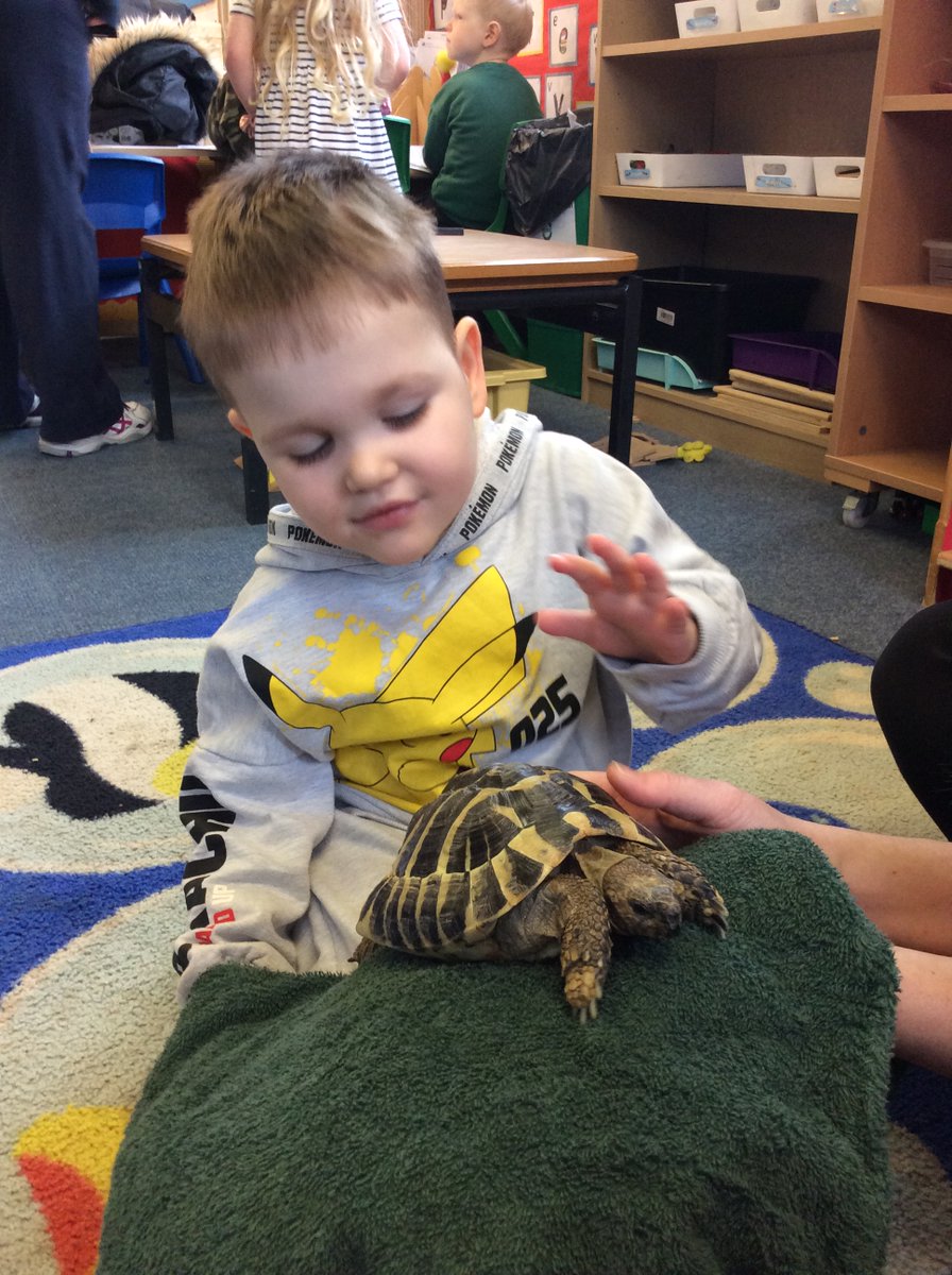 We also met Mr Torty! Mr Torty belongs to Mrs Williams and she very kindly let us have a hold. He got tired very quickly so he didn't stay for long but we enjoyed his little visit! It was nice to meet an unusual pet and we were fascinated by the texture of his shell.