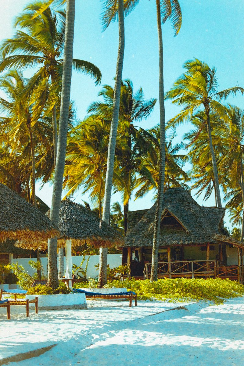 MonaTheExplorer's tweet photo. Zanzibar, Tanzania 

From Stone Town's winding, narrow streets,
To beaches with powder-soft white sands,
Zanzibar is a dreamer's retreat,
A place where magic meets the land.😍🌏🏝

#Zanzibar #Tanzania  #Africa #BeautifulPlaces #IndianOcean #BeachLife #IslandVibes #ParadiseFound https://t.co/NLiPVQ2nKG