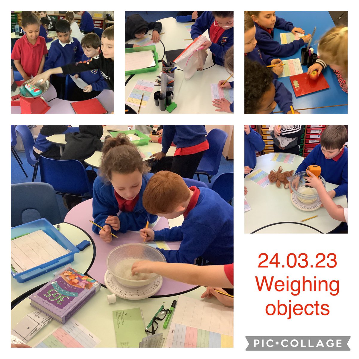 HTPS_MrsWay's tweet photo. Weighing everyday objects in Maths today @HTPSchool #BIGMATHS #HTPSMN https://t.co/jkfd7rSZD9