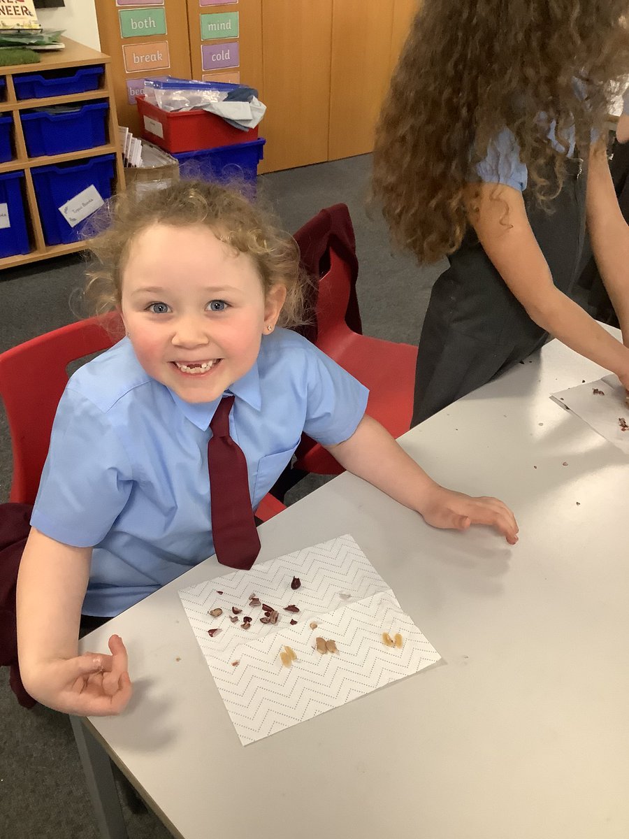 St Charles Catholic Primary Year 2 tweet media