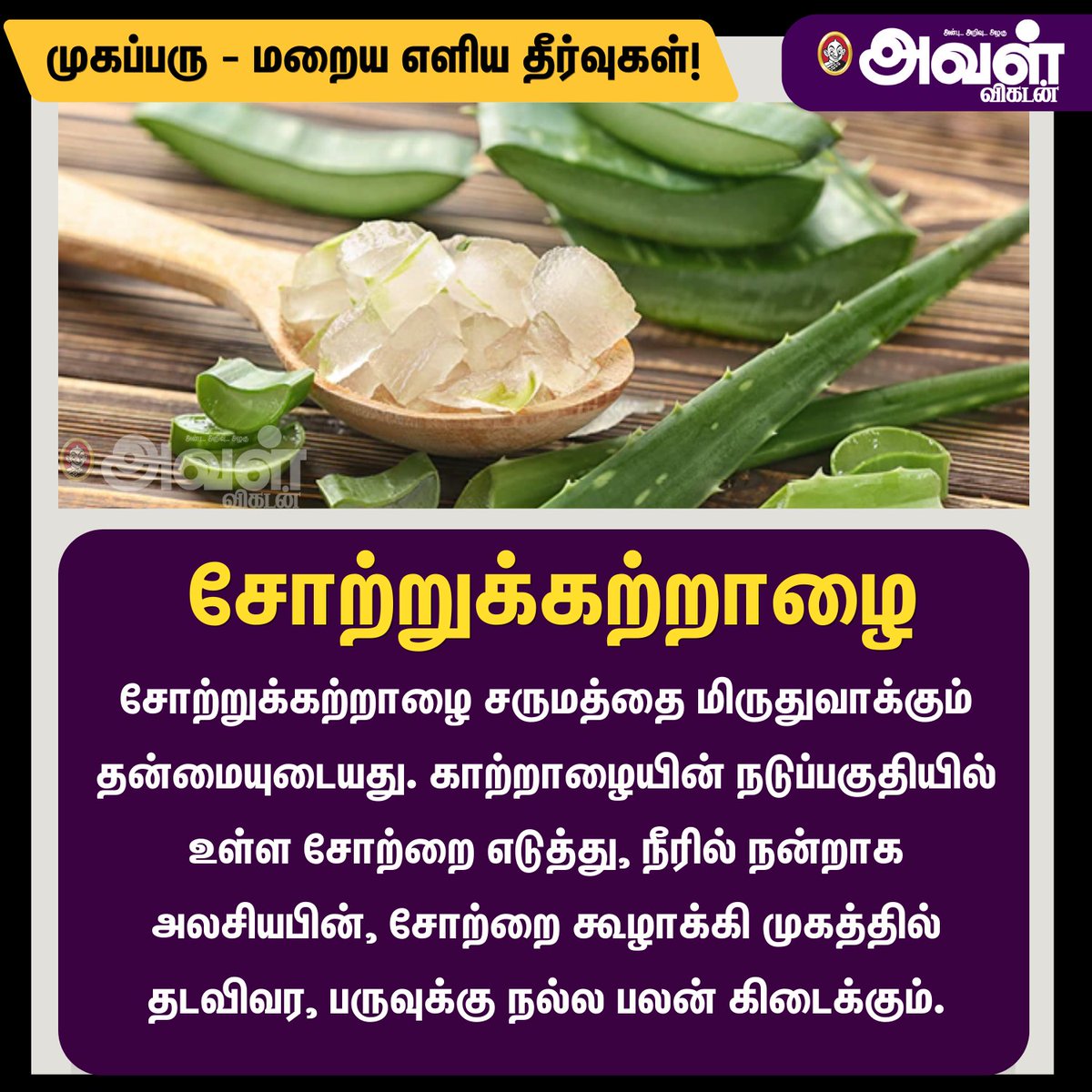 AvalVikatan's tweet photo. முகப்பரு - மறைய எளிய தீர்வுகள்!
#FacePimples #Pimples #AloeVera #AloeveraLeaves #Beautytips #Beauty https://t.co/iUHCf9B5T8