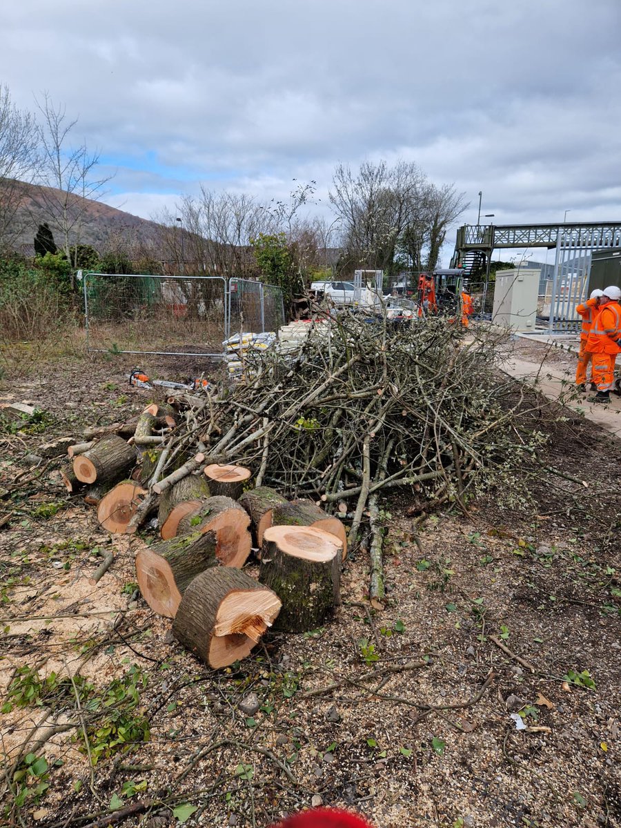 SASRopeandRail's tweet photo. SAS Rope and Rail brought in on short notice to remove a tree that would otherwise have held up the installation of fencing for a new compound. 

Project was completed ahead of projected schedule.

#BBR #CVL #treeremoval #tree #project #devegetation https://t.co/j4HBEaQ0CM