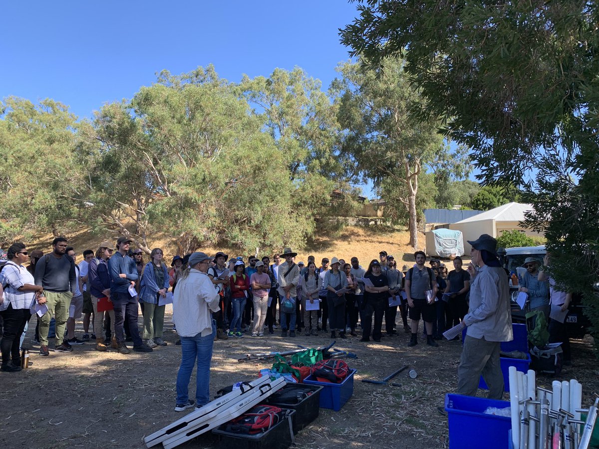 EmieldaY tweet media