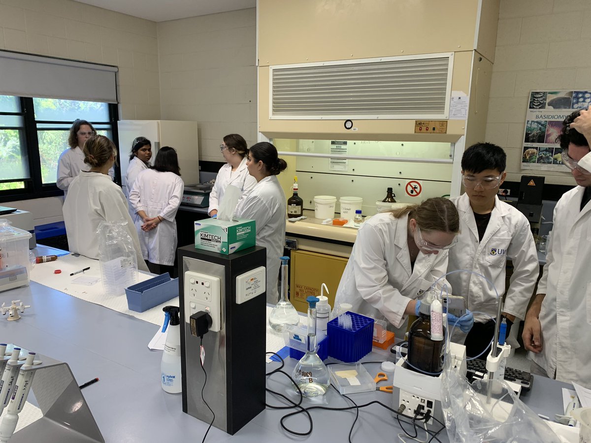 EmieldaY tweet media