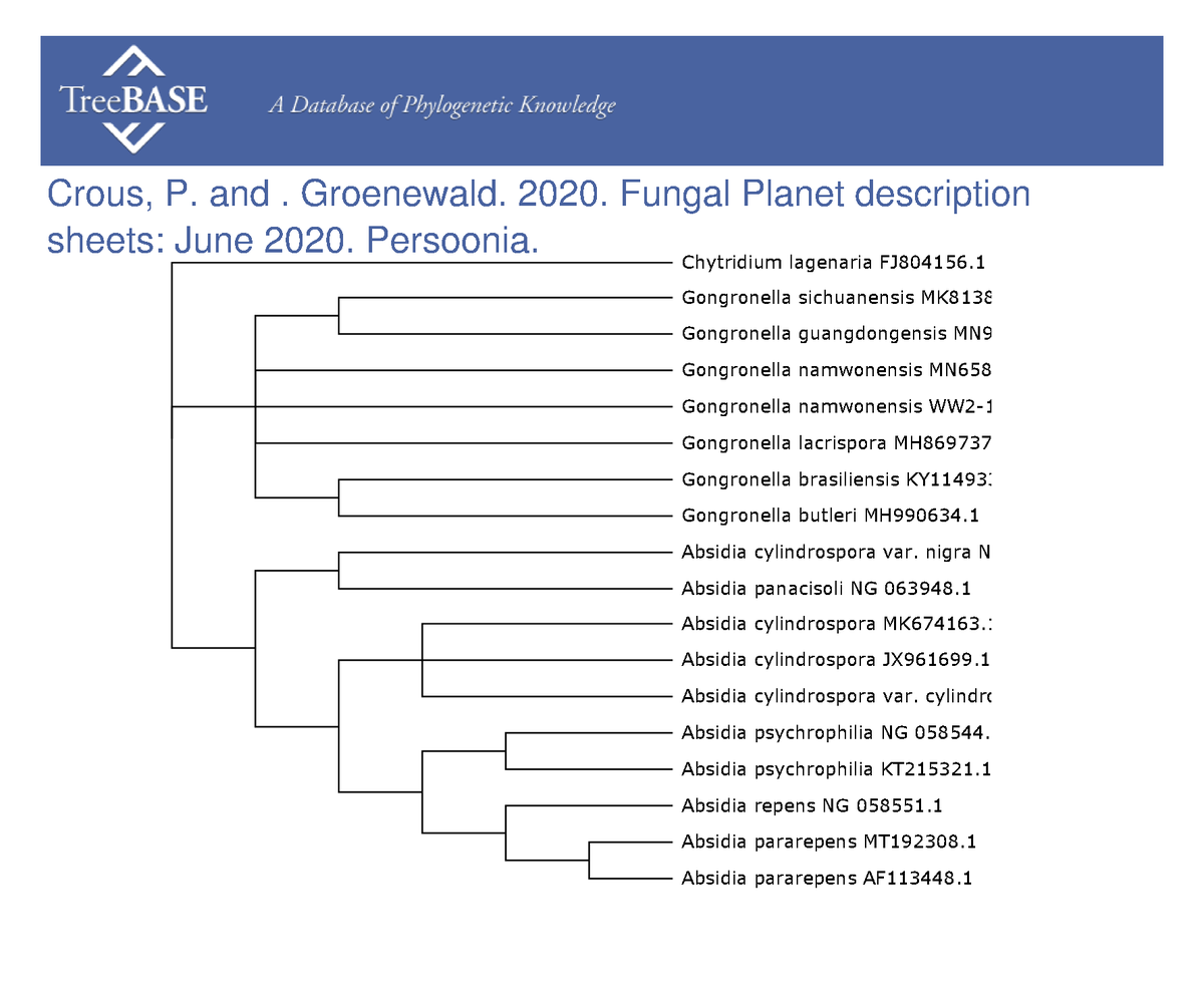 treebase's tweet photo. Pedro Crous and  Johannes (Ewald) Groenewald shared their data with #TreeBASE on Mar 24, 2023. @Naturalis_Sci

https://t.co/nBugG7XXmJ https://t.co/aPd70VA7xJ