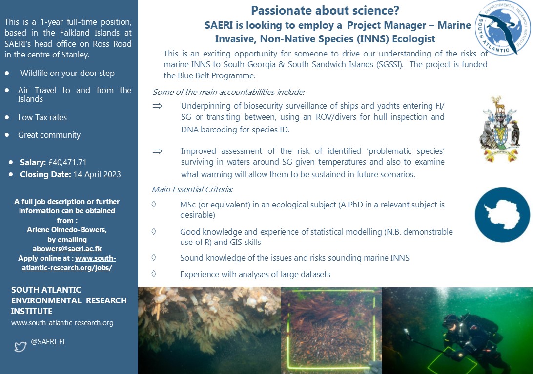 Daniel Bayley tweet media