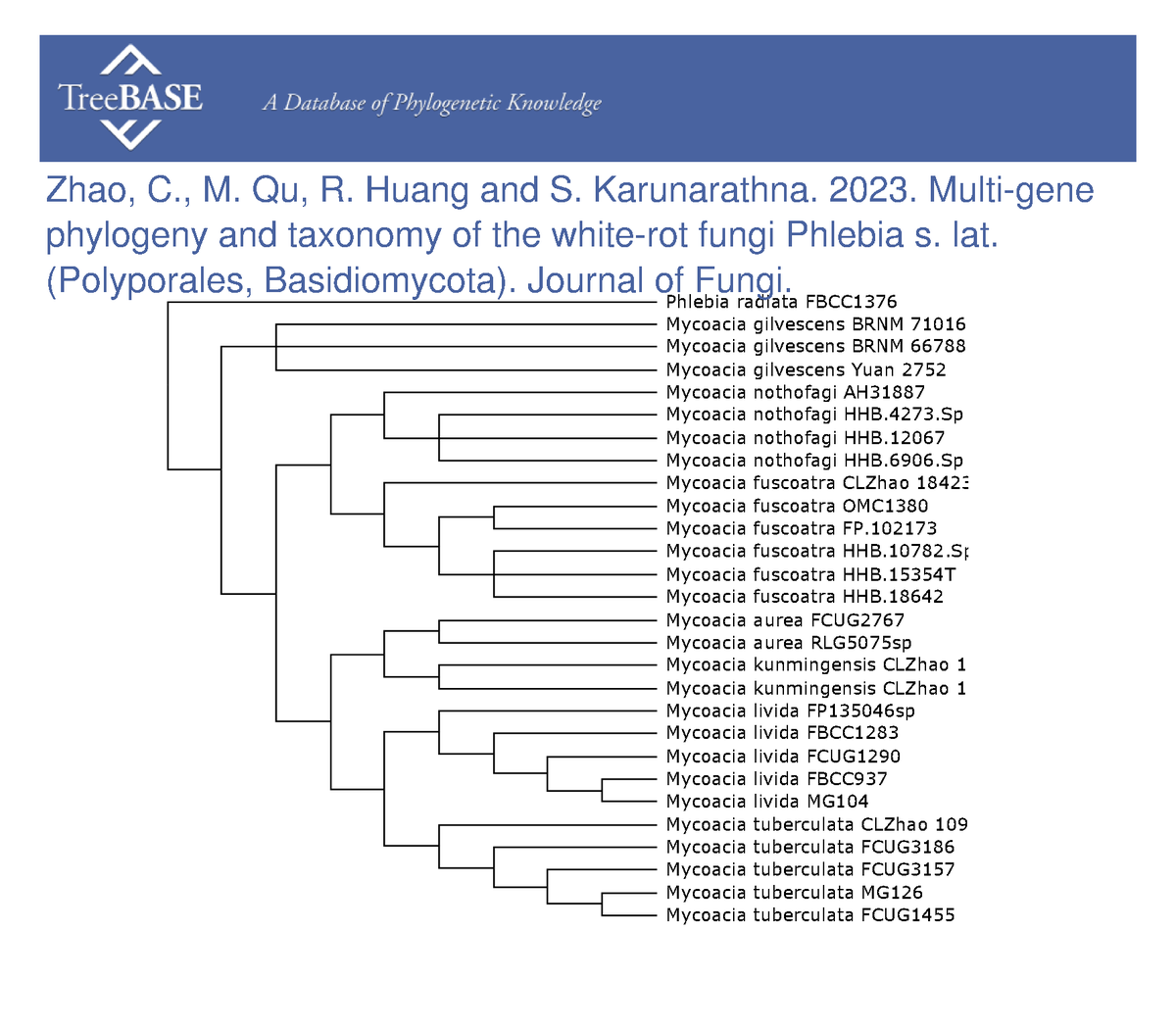 treebase's tweet photo. Chang Zhao and colleagues shared their data with #TreeBASE on Mar 14, 2023. @MDPIOpenAccess

https://t.co/Mf6FcgIUal https://t.co/O3N4w8iL2e