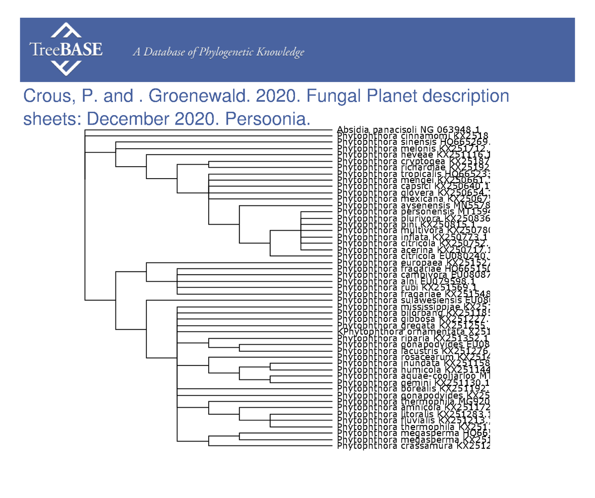 treebase's tweet photo. Pedro Crous and  Johannes (Ewald) Groenewald shared their data with #TreeBASE on Mar 24, 2023. @Naturalis_Sci

https://t.co/oLpvbstGQa https://t.co/vOPU8Y6HmW