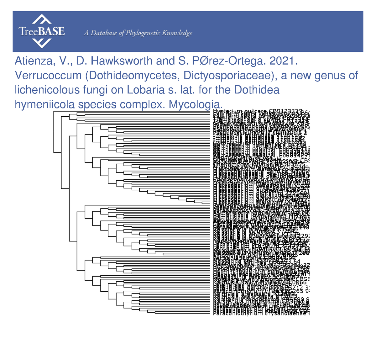 treebase's tweet photo. Violeta Atienza and colleagues shared their data with #TreeBASE on Mar 24, 2023. #Mycologia

https://t.co/g9uBhgNe0B https://t.co/TeLuKxlVUJ