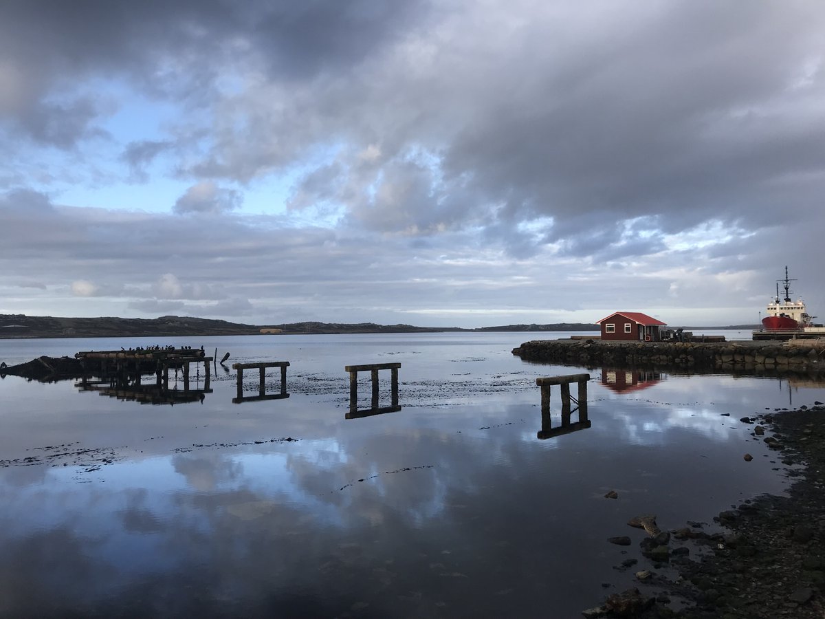 Daniel Bayley tweet media