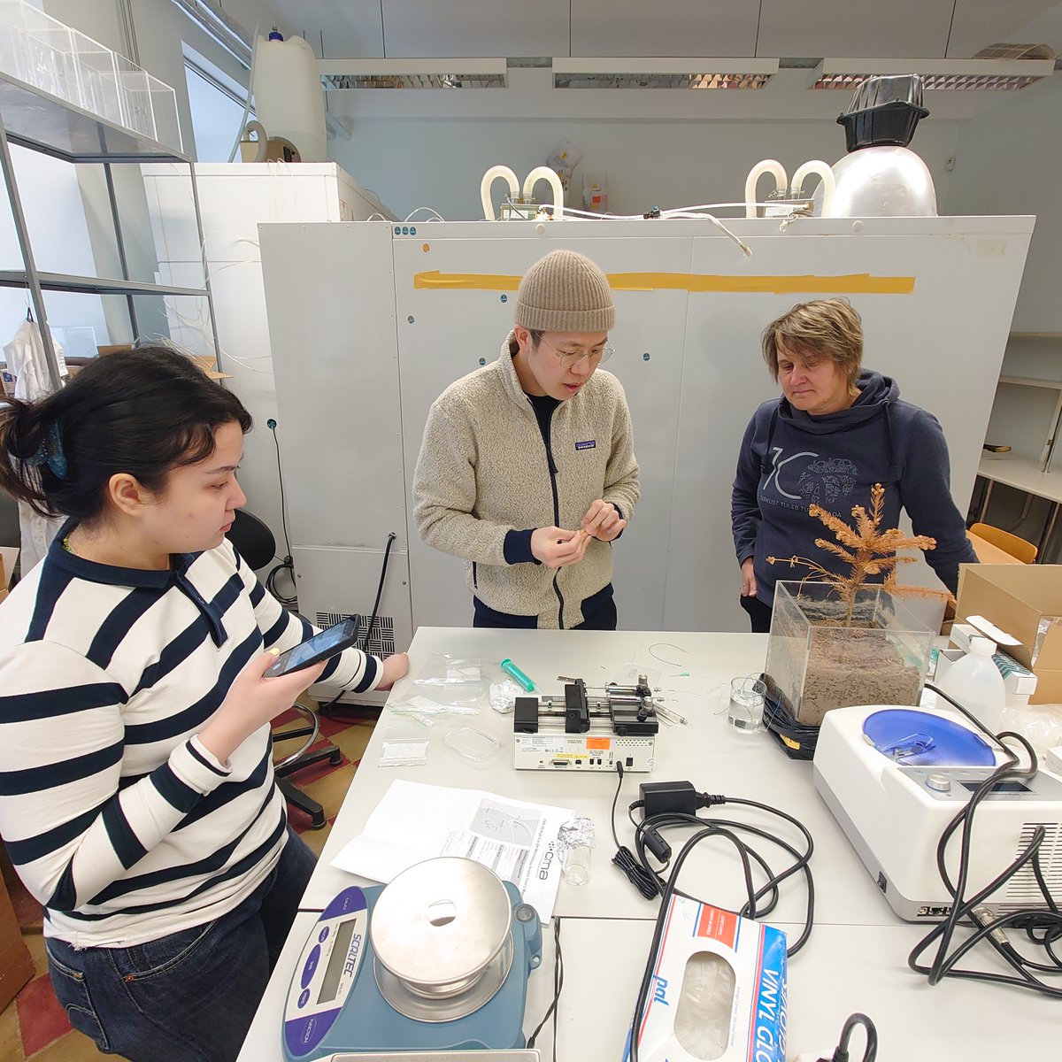 RootEcology Lab (@rootecologyut) on Twitter photo Great thanks to Dr. Hyungwoo Lim for showing us microdialysis set up! This new method of collecting #root exudates will be tested out in our growth chamber experiment starting already next week🤓 <a href="/IvikaOstonen/">Ivika Ostonen</a> @AliyaSultonova <a href="/MariliSell/">Marili Sell</a> <a href="/unitartu/">University of Tartu</a> Great thanks to Dr. Hyungwoo Lim for showing us microdialysis set up! This new method of collecting #root exudates will be tested out in our growth chamber experiment starting already next week🤓 <a href="/IvikaOstonen/">Ivika Ostonen</a> @AliyaSultonova <a href="/MariliSell/">Marili Sell</a> <a href="/unitartu/">University of Tartu</a>
