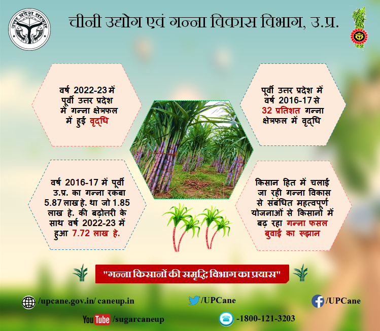 Cane Development UP tweet media