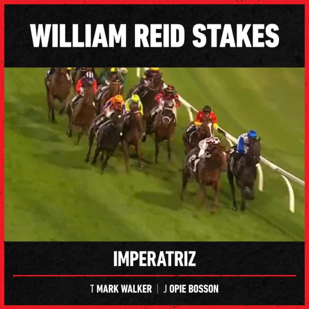 RafflesRacing (Kyan) on Twitter "RT WHR 1234 for the mares! Kiwi