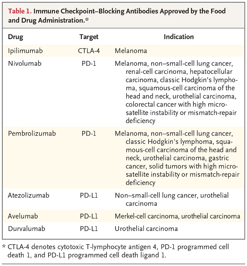 Alfredo Montero 🇮🇨 tweet media