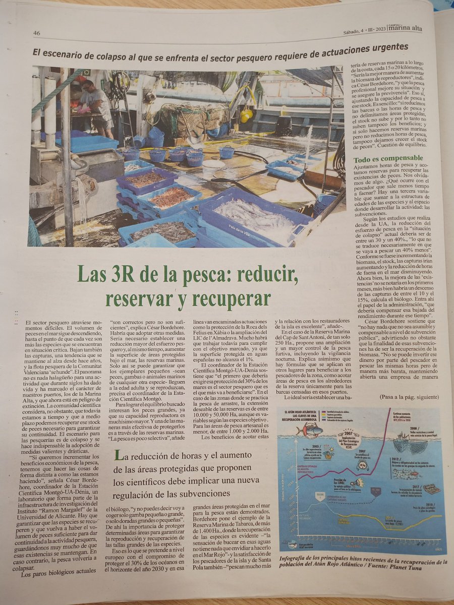 ESCIMO_UA's tweet photo. Rosa Ribes entrevista al coordinador de la ESCIMO, Dr. Cesar Bordehore, para el periódico Canfali Marina Alta. #Pesca #reducir #reservar #recuperar #thinkinazul #OBSERMAR-CV #reservasmarinas #AMP @CesarBordehore  @UAdivulga @Ciencias_UA https://t.co/qFvhbBqcVH