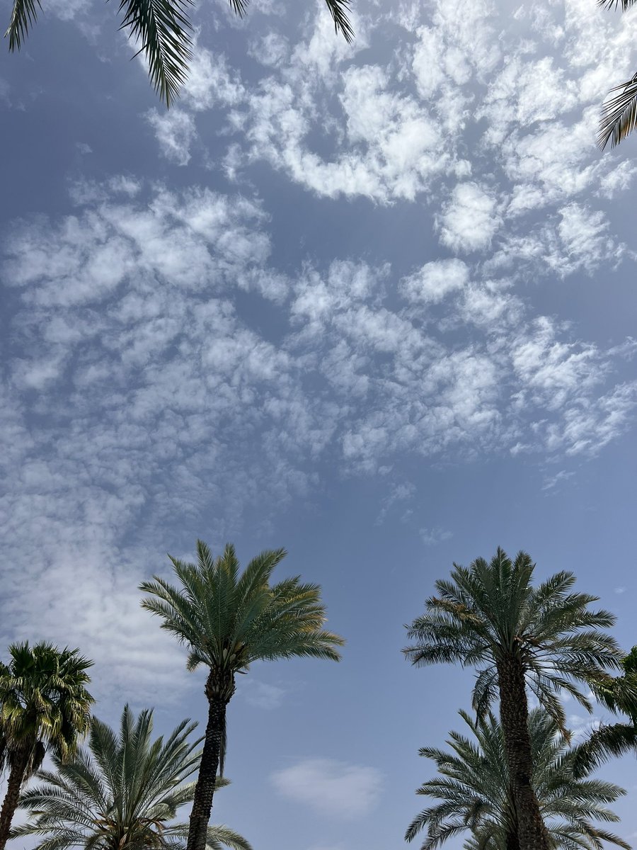 Towerofsong2's tweet photo. שששש… עכשיו נרגעים https://t.co/0we6Klw7zE