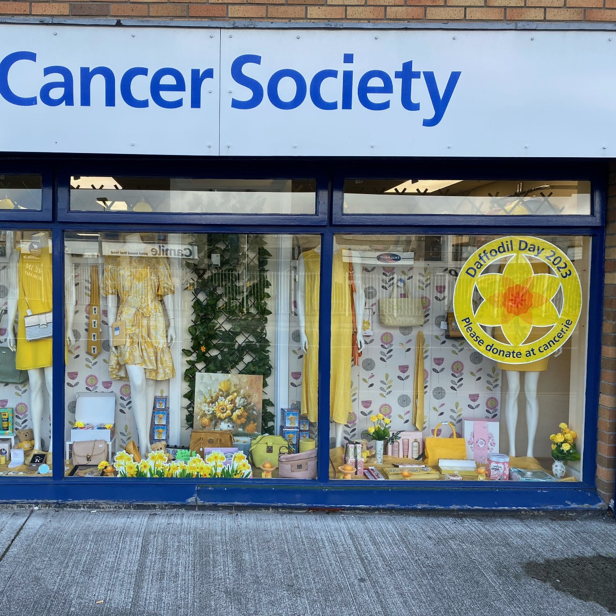 Irish Cancer Society tweet media