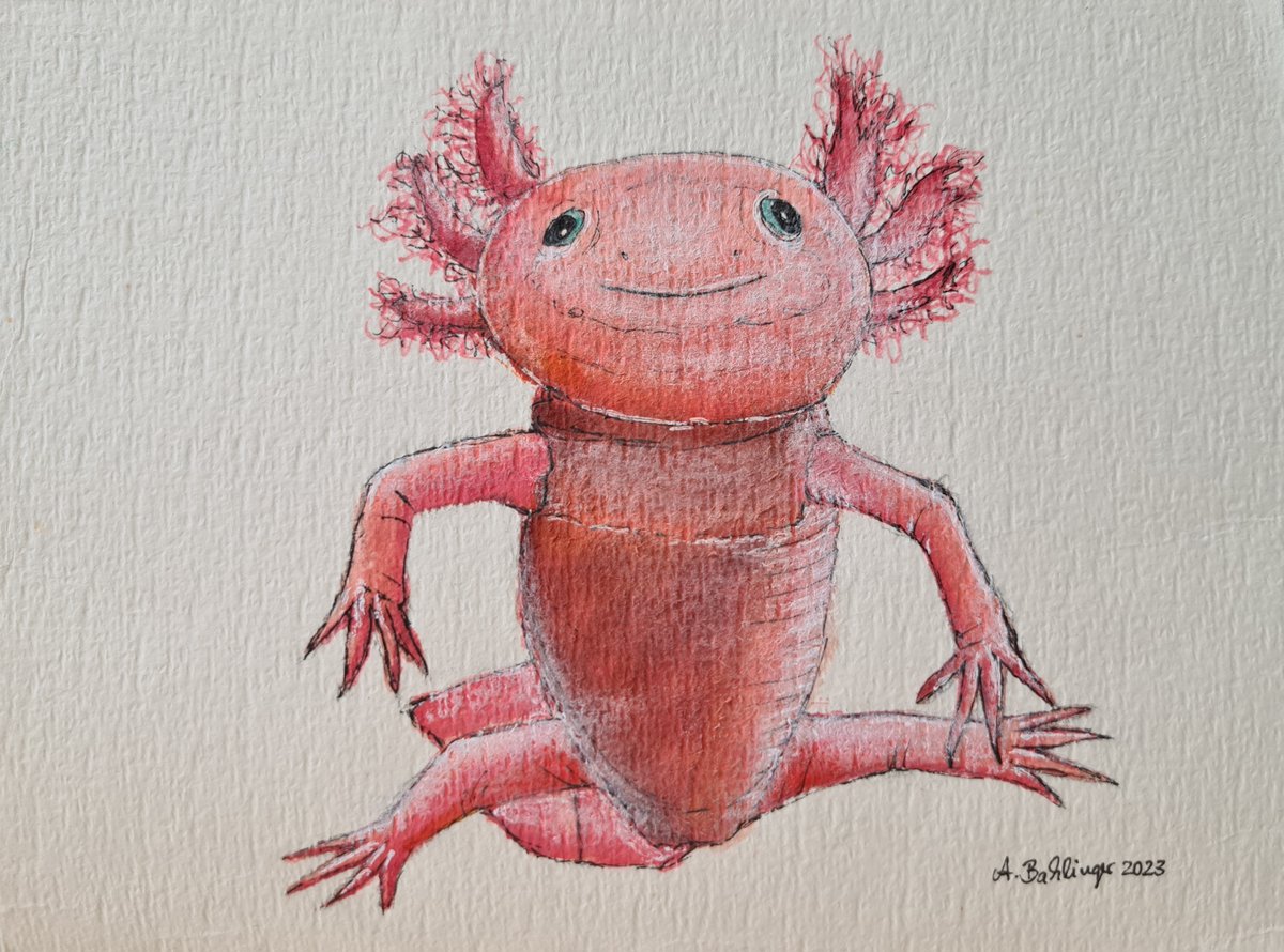 #animalmarch Tag 24: #axolotl 
 #kleineKunstklasse #artwork #brushpens