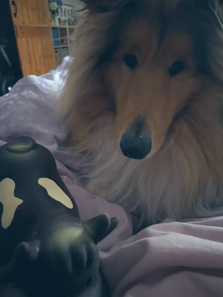 The Hound tweet media