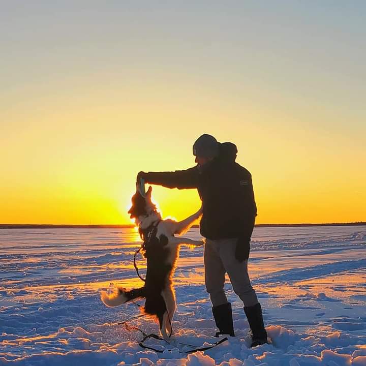 Happy National Puppy Day from Milo and me. If I could have only half of his energy and wisdom 😉
#NationalPuppyDay #bordercollie #bestfriends #MentalHealthMatters #dogs