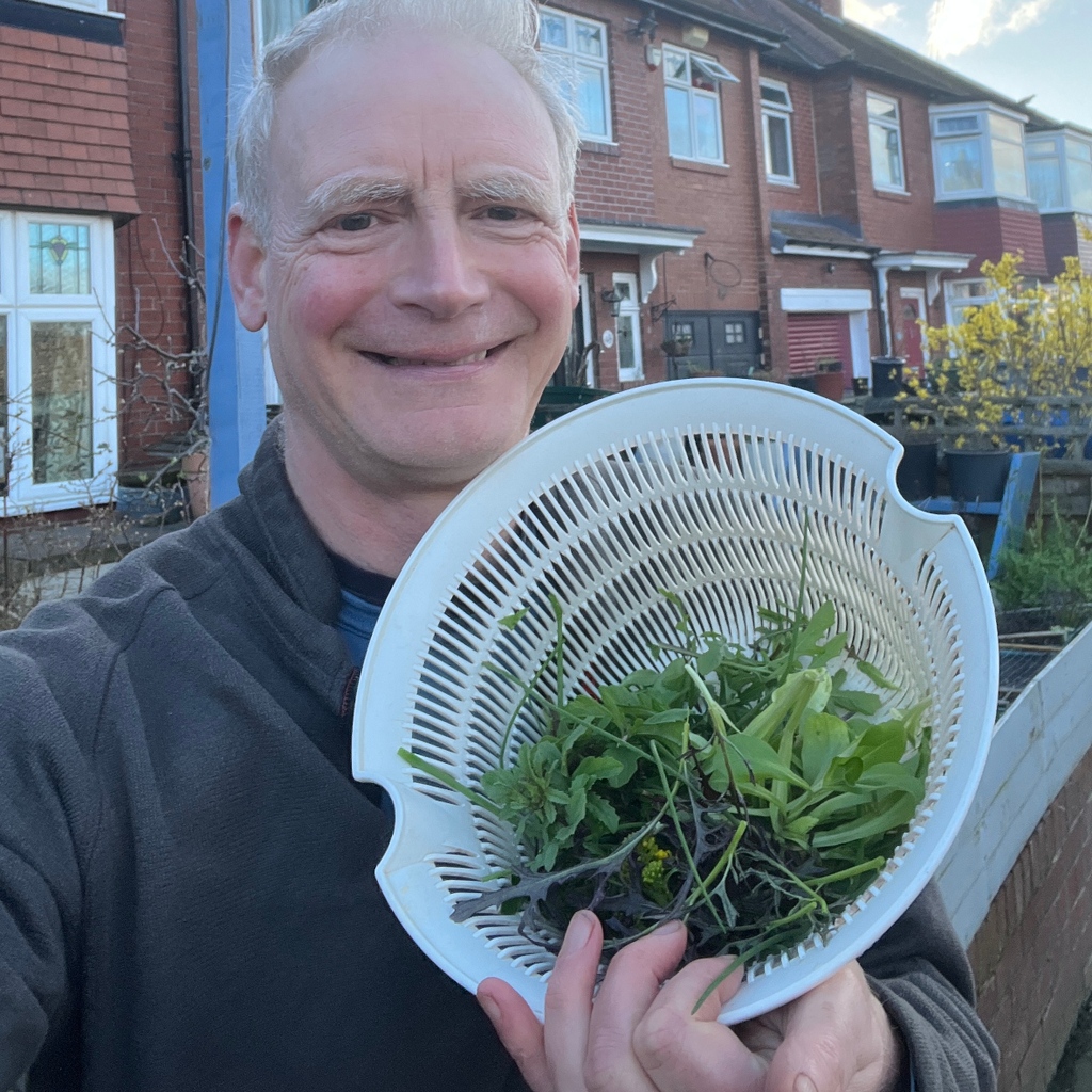 Very happy to be picking decent sized salads from the containers in the front yard again. Today: rocket, lambs lettuce, mustard red frills, land cress and chives. 

Having survived the hard winter, they all taste excellent at this time of year.