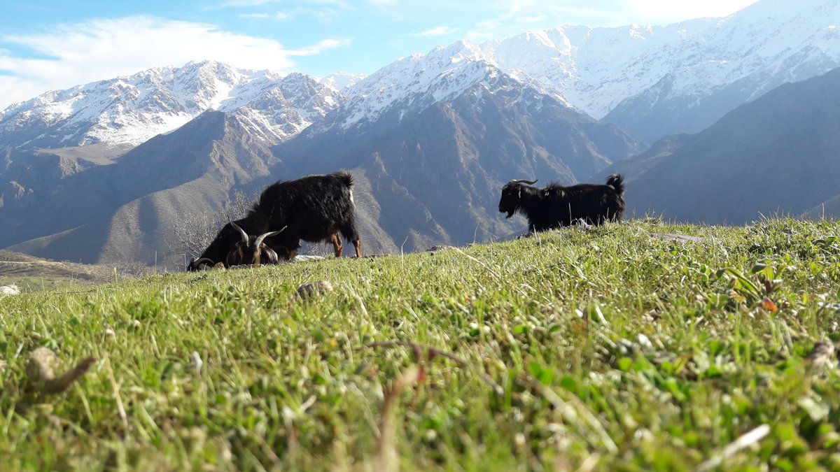 #nft #nftart #nftartist #nfts #nftcollector #nftcommunity #cryptoart #cryptoartist #nftphotography #nftanimation #nftvideo #digitalarts