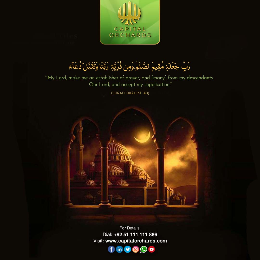 capitalorchards's tweet photo. Have a blessed Friday.
-
-
-
-
#capitalorchards #dxb #shaddock #islamabadproperty #islamabad #realestate #property #propertyinvestment #propertyforsale #pakistan #karachi #realestateagent #pakistanrealestate #pakistanproperty #lahore #realestateinvestment #realestateinvesting https://t.co/or3GK63Izi