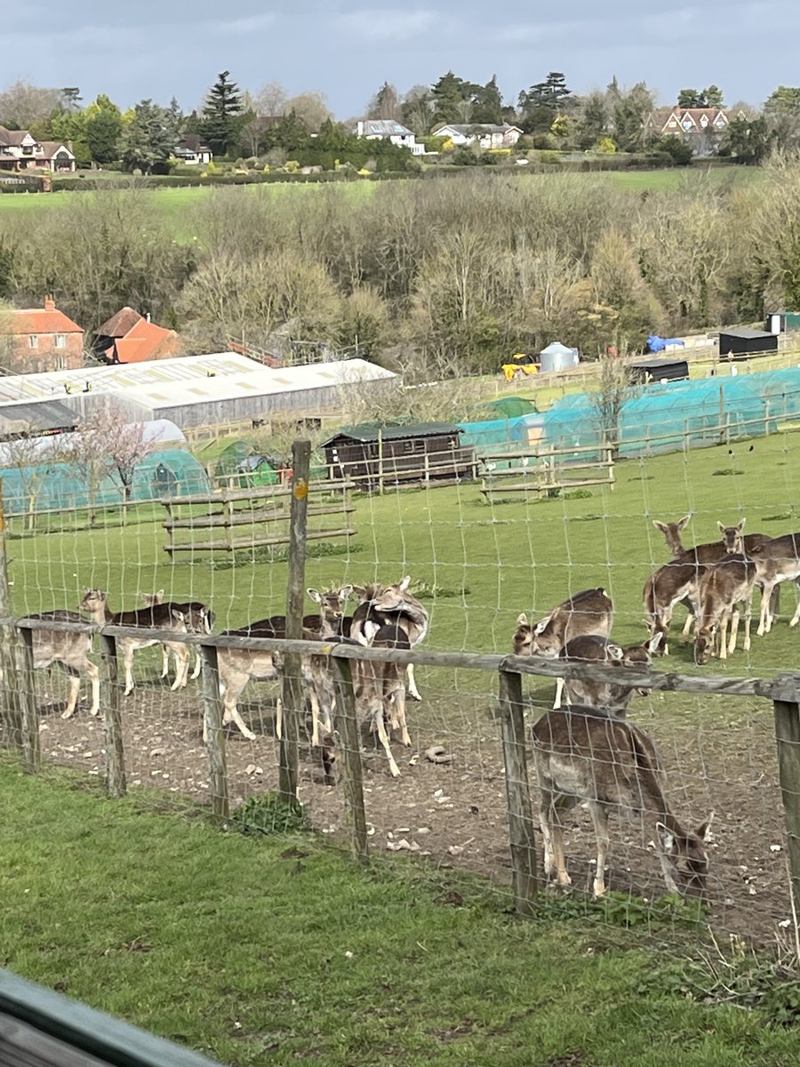 WoodFieldGLT's tweet photo. Reception had a fantastic time at Bocketts Farm yesterday! https://t.co/TYdRuuOxuw