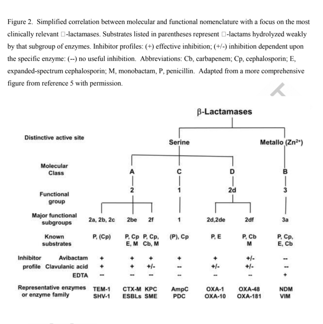 Antibiotic Steward Bassam Ghanem 🅱️C🆔🅿️🌟 (@absteward) on Twitter photo 🔥Any article from Prof.Karen Bush discussing beta lactamases is a must-read🔥
🆕️🌟🌟Classification for β-Lactamases: Historical Perspectives #IDTwitter
Thanks <a href="/edenhelmi/">Helmi Sulaiman</a>
tandfonline.com/doi/full/10.10… 🔥Any article from Prof.Karen Bush discussing beta lactamases is a must-read🔥
🆕️🌟🌟Classification for β-Lactamases: Historical Perspectives #IDTwitter
Thanks <a href="/edenhelmi/">Helmi Sulaiman</a>
tandfonline.com/doi/full/10.10…