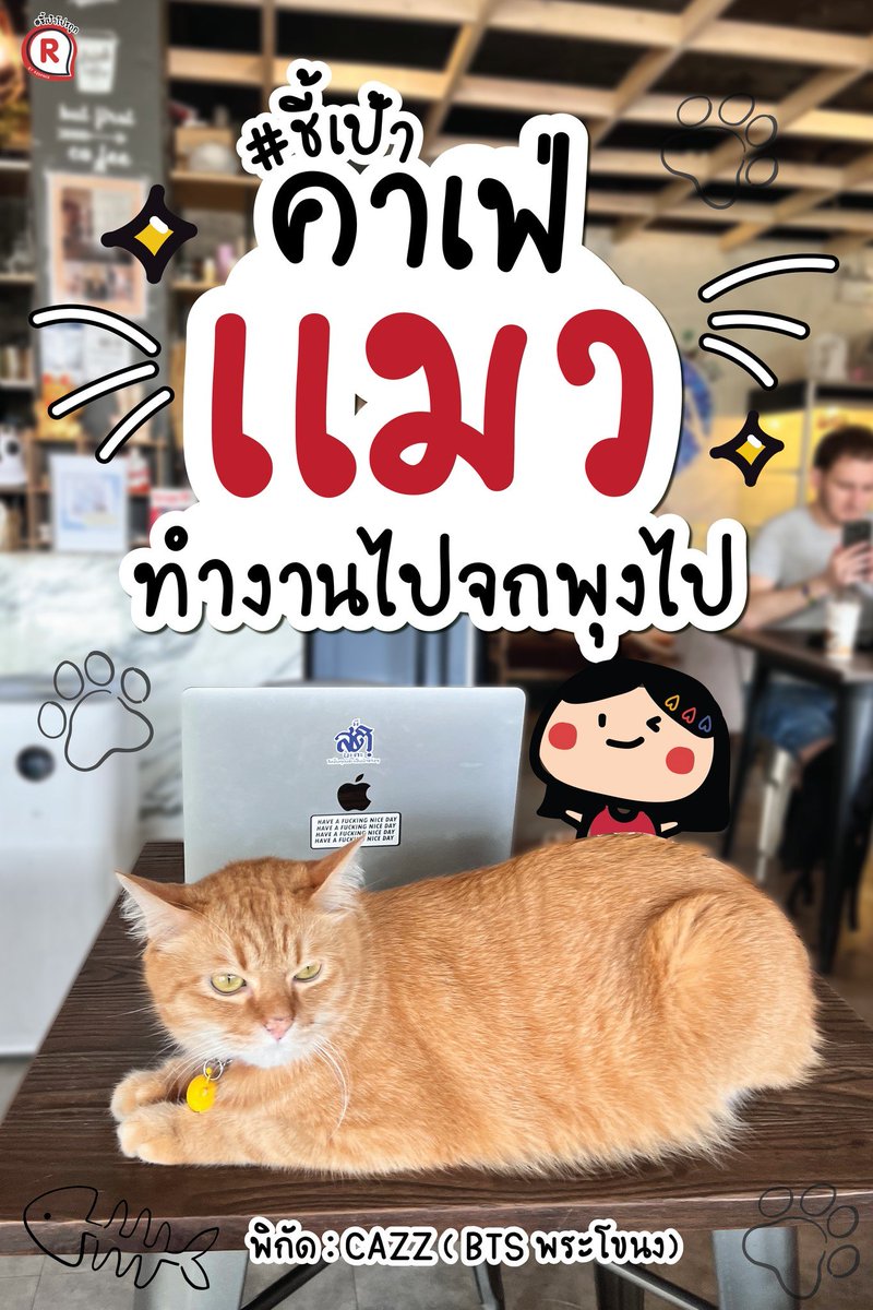 ชี้เป้าโปรถูก tweet media