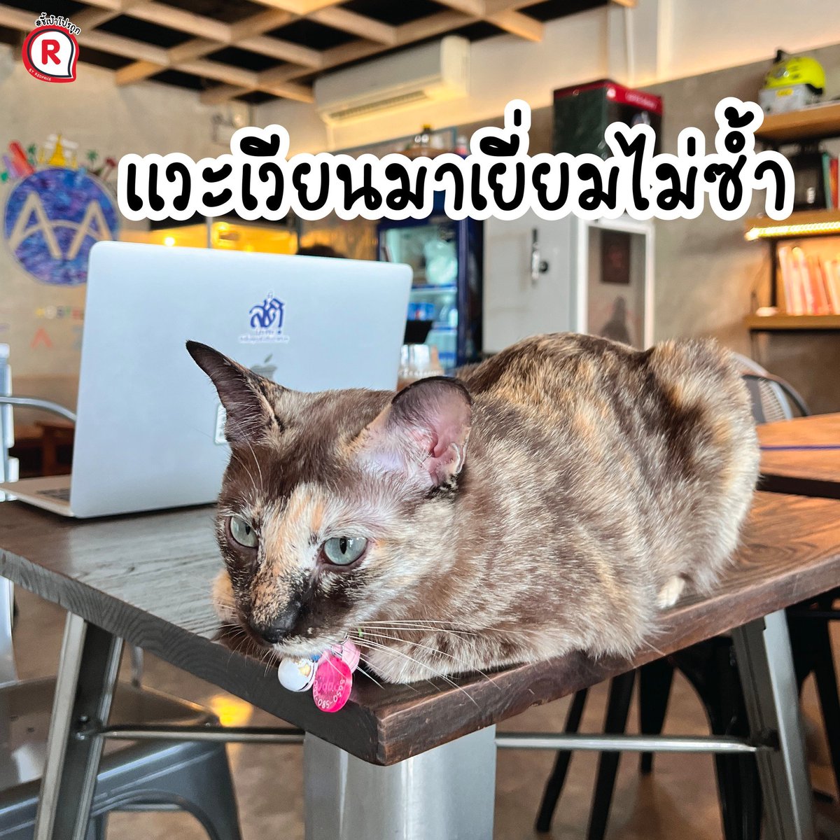 ชี้เป้าโปรถูก tweet media