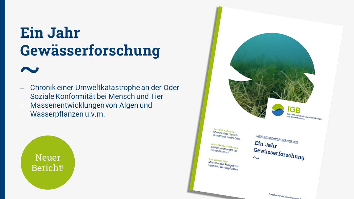 IGB Berlin (now on Bluesky) tweet media