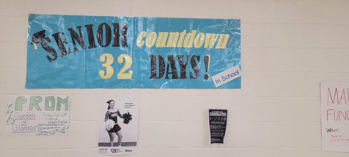 @wvilleseniors23 look how many days you have left (including today)! Continue to do amazing work and finish this year with P.R.I.D.E.!!! 💙🦁💛 @DrWare_FCPS @LionsCounseling @JCRattiFCPS