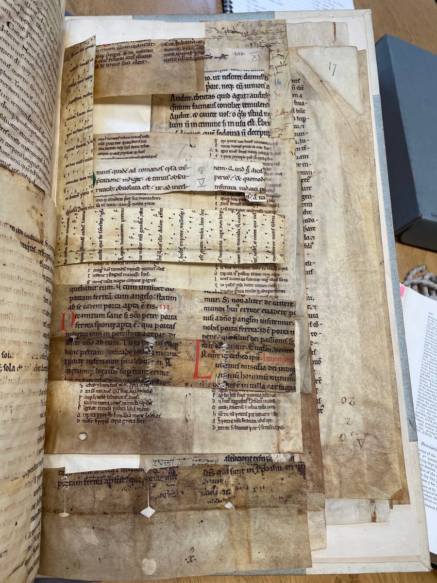 RebeccaMenmuir's tweet image. Happy #fragmentfriday! Scrapbookers take note (@EtonCollLibrary MS 220)