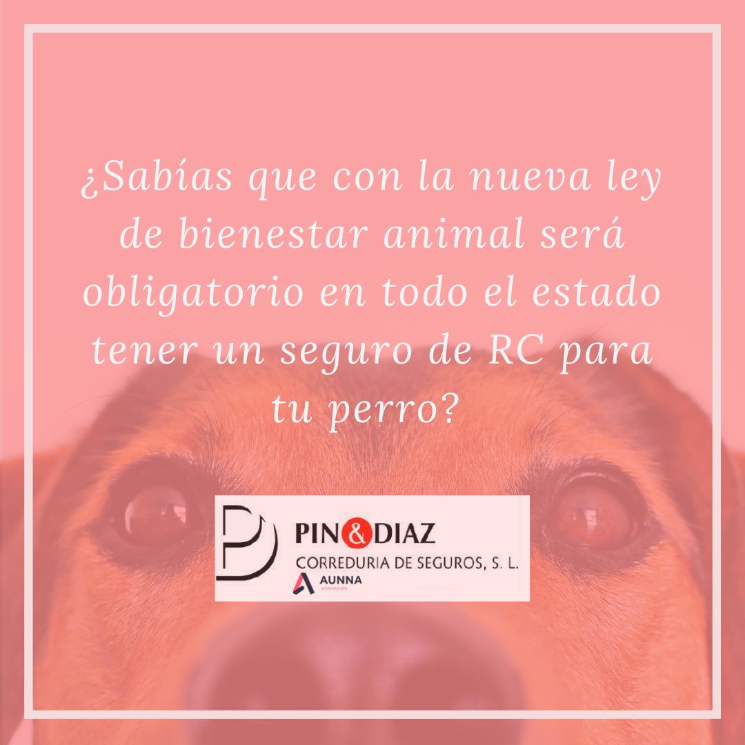 PIN & DIAZ tweet media