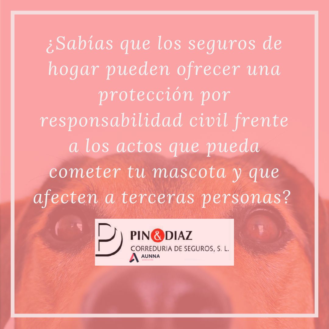 PIN & DIAZ tweet media