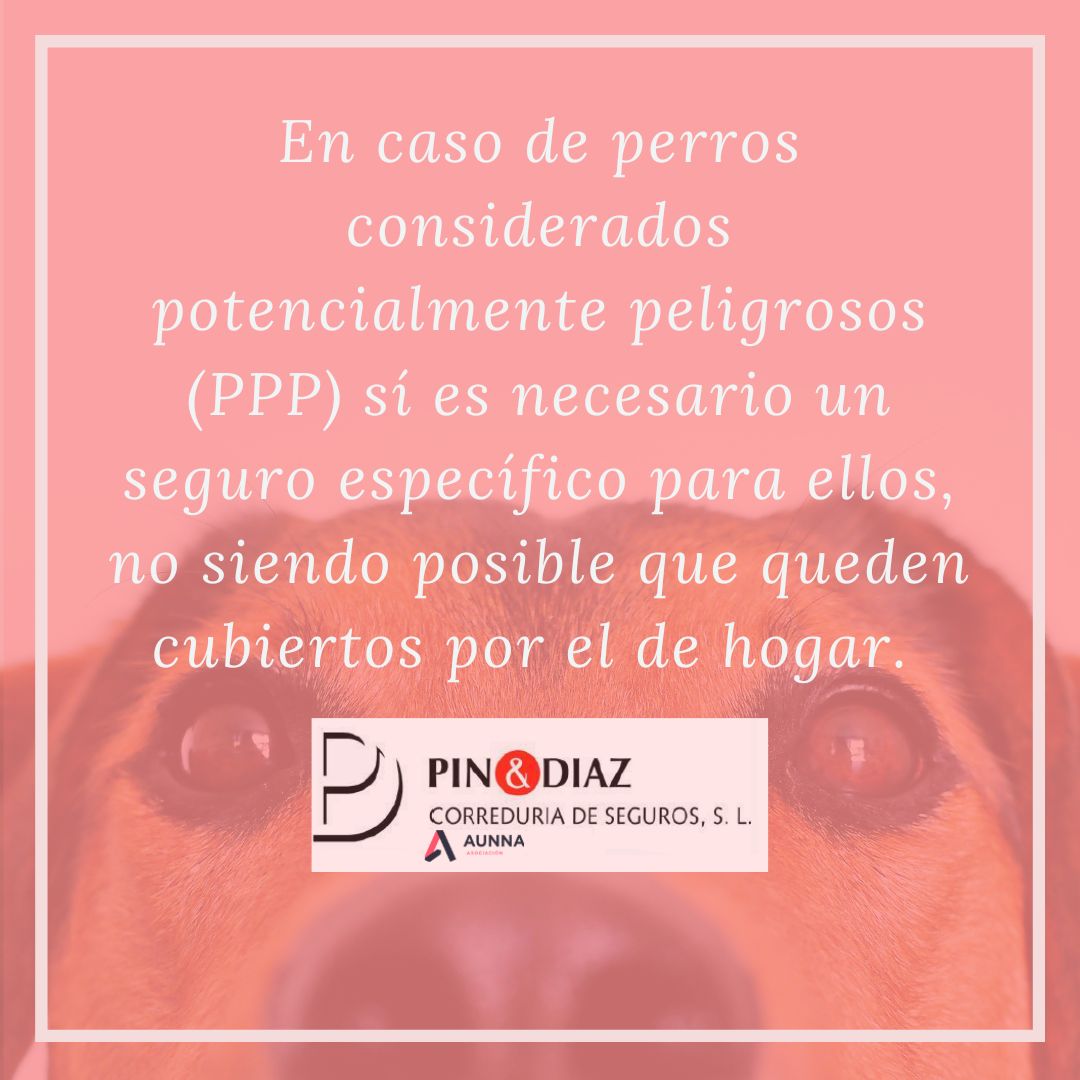 PIN & DIAZ tweet media