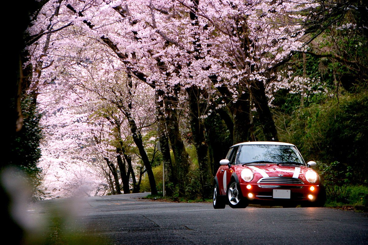 Avan206's tweet photo. 24.Mar,2023
Nikon D2H
#nikon #nikkor #nikond2h #d2h #olddigitalcamera #r50mini #minicooper #cherryblossom #japanesecherry #ニコン #ニッコール #ニコンD2H #ミニクーパー #桜 https://t.co/XCbTKgKBNO