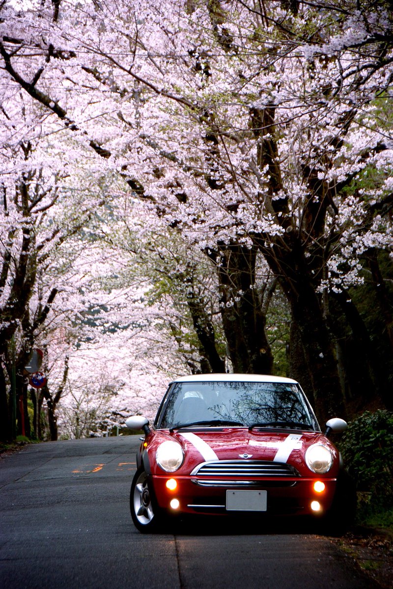 Avan206's tweet photo. 24.Mar,2023
Nikon D2H
#nikon #nikkor #nikond2h #d2h #olddigitalcamera #r50mini #minicooper #cherryblossom #japanesecherry #ニコン #ニッコール #ニコンD2H #ミニクーパー #桜 https://t.co/XCbTKgKBNO