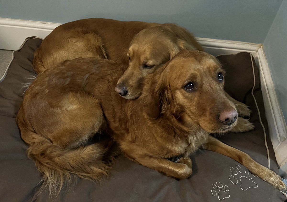 Just a reminder to you all to take care of yourself and each other. Have a great Friday 💙 <a href="/OscarKiloNine/">OscarKilo9</a> <a href="/PBaloo/">PDBaloo</a>